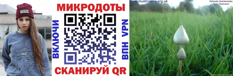 Купить закладки  Когалым  Псилоцибиновые грибы ЛСД 